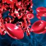 Likas na distribúciu krvi u ľudí v zdravom veku