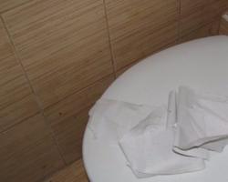Začepljen WC: kako ga sami očistiti različitim vrstama čepova